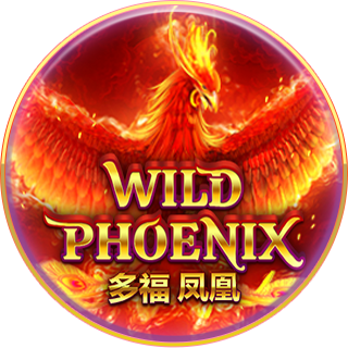 Wild Phoenix