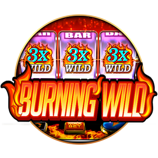 Burning Wild